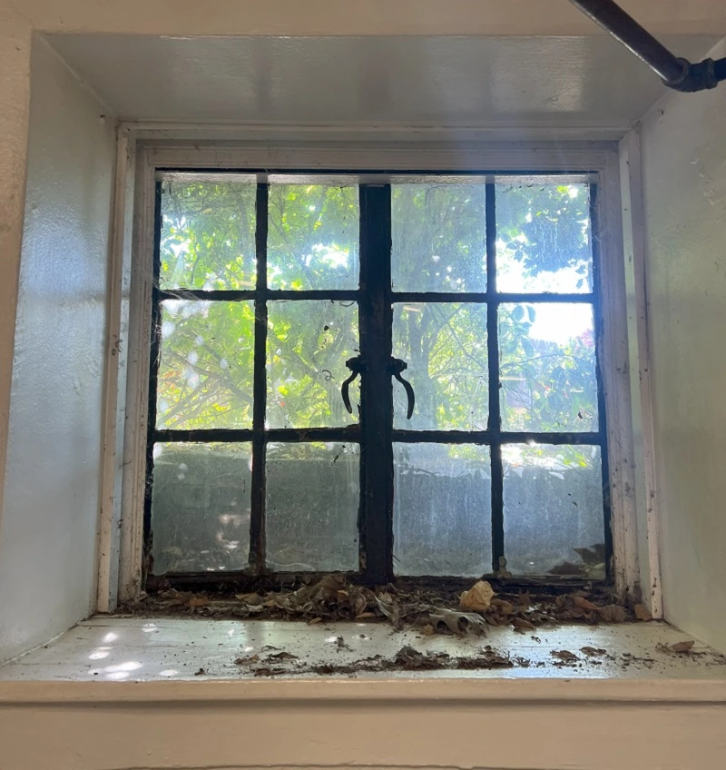 How do I replace steel casement windows in Westchester